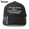 I will be voting for a convicted Felon in November American Flag Hat