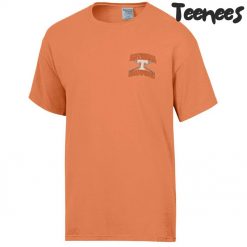 Tennessee Volunteers Comfort Wash 2024 NCAA Mens Baseball College World Series Champions TShirt 2